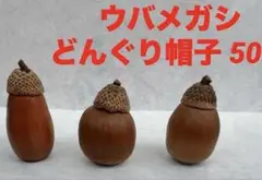 どんぐり 帽子 ウバメガシ 50個