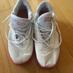 Item thumbnail for item 93dd4c42-5e4a-4c7b-abb6-8076906fa316