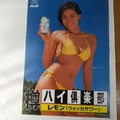 沖縄県内限定】オリオンビール B2ポスター 水着 ORION - メルカリ
