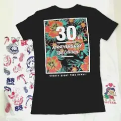 貴重 未使用　現地購入　30th限定T ステッカーハードショッパーセット 88のサムネイル