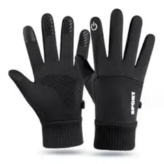 Item thumbnail for item a1a28d4a-e6ef-48f3-a556-5f9f28bf0973