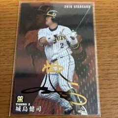 Item thumbnail for item 0c05aaa6-034f-429e-bb7f-7667682107e6