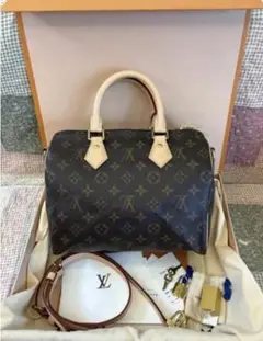 Louis Vuitton ハンドバッグ ダークブラウン