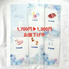 saving weekly 週別 A6 リフィル 韓国 6枚セット 透け感あり