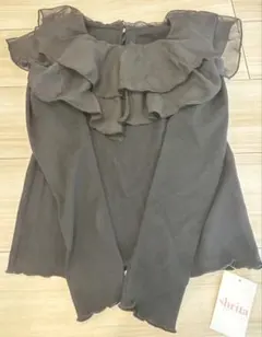 Item thumbnail for item 971597f8-5831-4f17-8696-d7a2a9f2be26