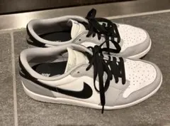 極美品・激レア】NIKE DUNK NG SL ゴルフシューズ 25cm 箱有 - メルカリ