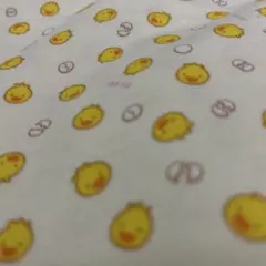 Item thumbnail for item 3ac15a26-0dc8-4f25-bd69-95899f1f6105