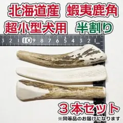 2026年最新】エゾシカのツノの人気アイテム - メルカリ
