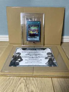 世界に１６枚！　団結の力　ブルシク　PSA10　ブルーシックレット付属品完品 2025年最新】団結の力 ブルシクの人気アイテム - メルカリ