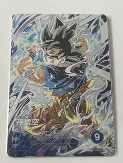 SDV8-SEC パラレル　孫悟空