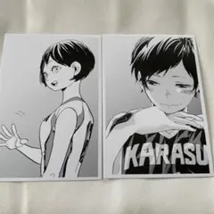 ハイキュー クロニクル まとめ