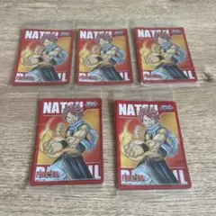 FAIRY TAIL Natsu Sleeves 5 Pack