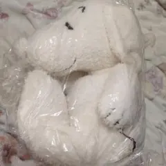 ジェラートピケgelatopique　スヌーピー　テッシュケース