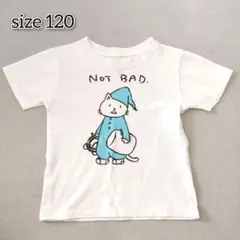 バンプオブチキン 【120】 Tシャツ オーロラアーク 2019 グッズ ニコル