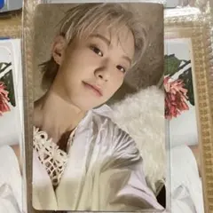 ホシ 17 is right here thanks キャンペーン トレカ