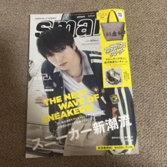 【マンダロリアンの付録以外】smart 10月号