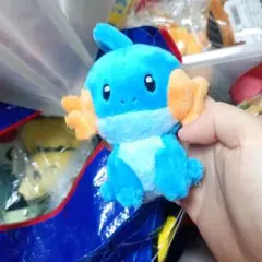 2026年最新】ミズゴロウ ぬいぐるみの人気アイテム - メルカリ