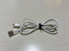 Apple 純正 USB-A Lightningケーブル 1m