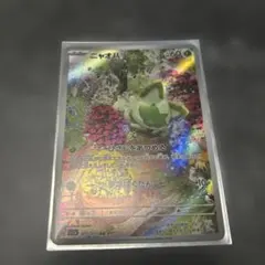 ニャオハ ARのサムネイル