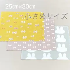ランチマット25㎝×30㎝(小さめサイズ)3枚セット ハンドメイド