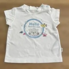 Item thumbnail for item 5f26de0c-0f47-41c4-9373-c08b4a50f781