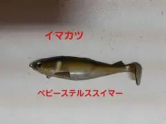 イマカツ ベビーステルススイマーのサムネイル