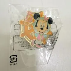 【激レア】ディズニーシー 5周年限定 アブーズバザール ピンバッチ ミニー