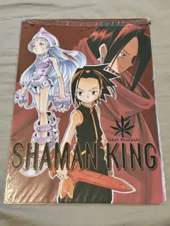 Item thumbnail for item 4601f52d-ff87-44b6-9a8f-14e16c8f849c