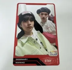 Stray Kids ODDINARY リノスンミンユニットトレカ - メルカリ