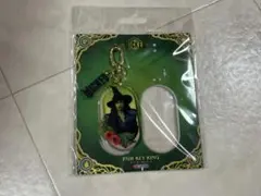 ウィキッド　エルファバ　キーホルダー