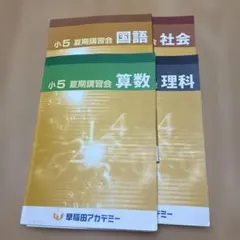 早稲田アカデミー 小5 冬期講習会 テキスト 4教科セット - メルカリ