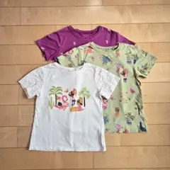 NEXT フラミンゴTシャツ 3枚セット 5-6歳のサムネイル