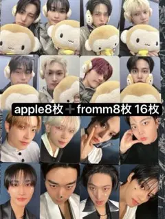 ATEEZ fromm applemusic トレカ コンプ 16枚セット