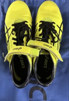 Item thumbnail for item 9a28cbeb-baae-4814-9043-6fce720250c4