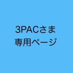 3PACさま専用　オーダー2点