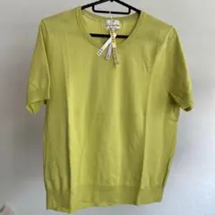 23 区ライムグリーン