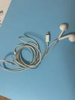Apple EarPods Lightningコネクタ 本体
