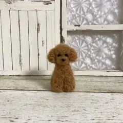 トイプードル＊お座り＊毛糸　羊毛フェルト　犬　　　　　ぬいぐるみ　ミニチュア