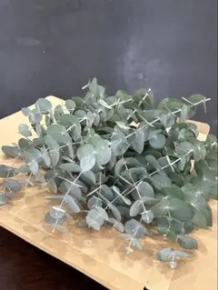 ★専用出品です★