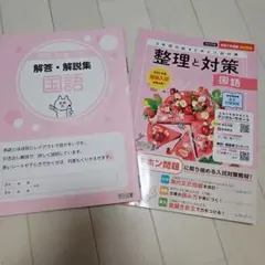 整理と対策 　国語のサムネイル