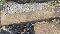 御影石 延べ石 庭石 敷石 約45cm 縁石 ガーデニング　おまとめ買い値引きのサムネイル