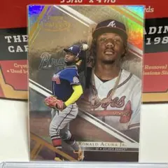 2026年最新】アクーニャJrの人気アイテム - メルカリ