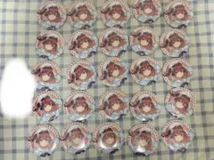 ホロライブ ほろ～かる横浜 会場限定 ランダム 缶バッジ 宝鐘マリン 25個