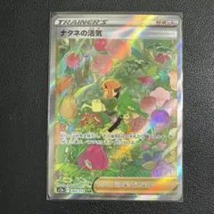【未使用品】ナタネの活気 SAR 【9枚セット】 ナタネの活気 sar ポケモンカード SAR｜Yahoo!フリマ（旧PayPay