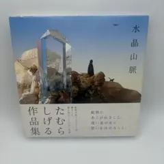 恐怖の霊 ケイブンシャの大百科 232 冝保愛子 心霊 霊界探検 怪奇系児童書 恐怖の霊 ケイブンシャの大百科 232 冝保愛子 心霊 霊界探検 怪奇系