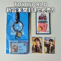 スキズ 日本ペンミ TOY WORLD グッズ ハン ジソン まとめ売り