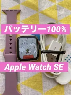 バッテリー100% Apple Watch SE ピンクゴールド 初めてセット