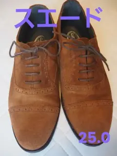 Item thumbnail for item d872f0c3-c51e-4333-9b88-2f21112fddd5