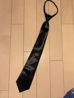 Item thumbnail for item 74e6adc2-3b44-48ef-9d1a-56747f8e19f0