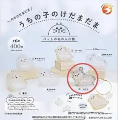 【チワワ】うちの子のけだまだま　犬のけだまだま　正規品ガチャ